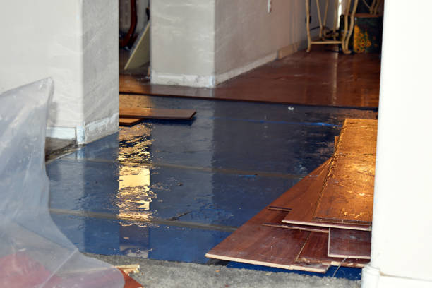 Professional Flood Cleanup technician working in Roanoke, IN